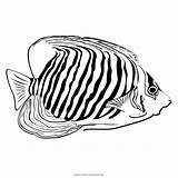 Pesce Tropicale Ultracoloringpages Fisch Tropischer Färbung Stampare sketch template
