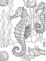 Coloring Pages Beach Ocean Adults Sea Gumroad Scroll Purchase Below Down Right Online sketch template