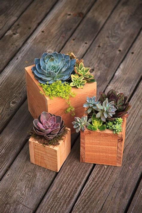 diy wood planter box designs   garden