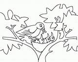 Nest Pajaritos Pajaros Burung Mewarnai Passarinho Filhote Everfreecoloring Aves Aktifitas Colorir Dxf Eps Colorironline Coloringbay Wecoloringpage Nests sketch template