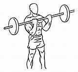Barbell Drawing Clipart Bicep Standing Military Press Curl Getdrawings Weight Dumbbells Powerlifting Workouts Mistakes Weightlifter Techniques Workout Arm Drawings Found sketch template