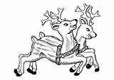 Reindeer Coloring Pages Large sketch template