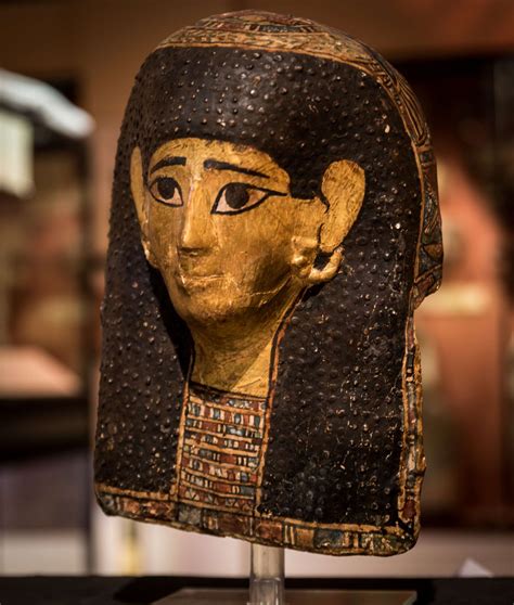The Egypt Centre Museum Of Egyptian Antiquities Swansea Visitor