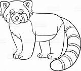 Panda Red Coloring Pages Realistic Drawing Cute Vector Webkinz Color Printable Smiles Little Print Illustrations Drawings Stock Getdrawings Getcolorings Clip sketch template