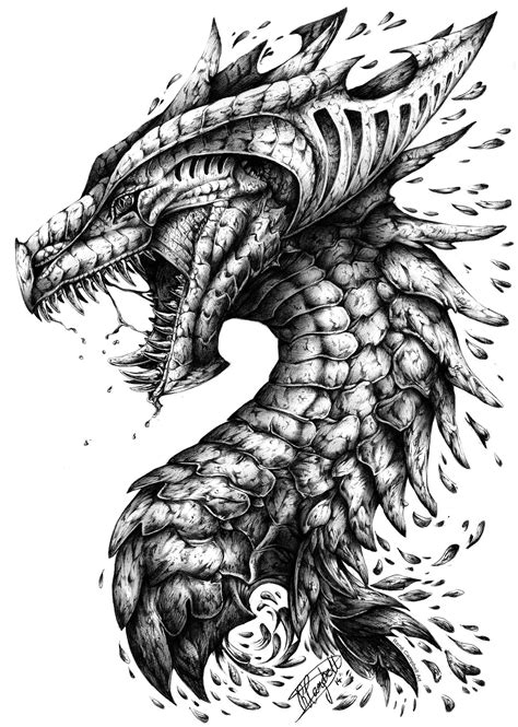 fine  drawing  dragons google search doodle drawings tattoo