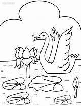 Pond Coloring Pages Getcolorings sketch template