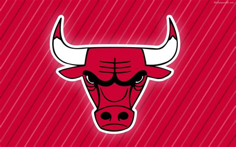 chicago bulls logo wallpapers wallpaper cave