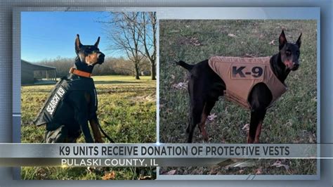 Two Southern Illinois K9s Gets Body Armor Thanks To Organizations Youtube