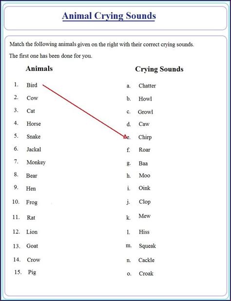 printable english grammar grade  worksheets worksheet resume