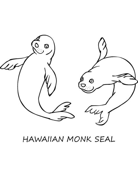 seal colouring pages  talking  seals   endless