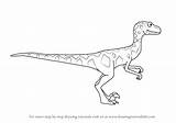 Deinonychus Dinosaur Train Drawing Mr Draw Step sketch template