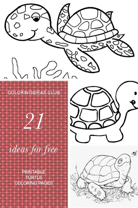 ideas   printable turtle coloring pages turtle coloring