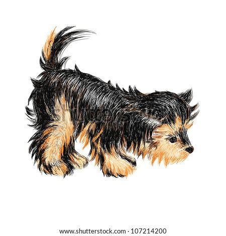 cute cartoon yorkie stock  images pictures shutterstock
