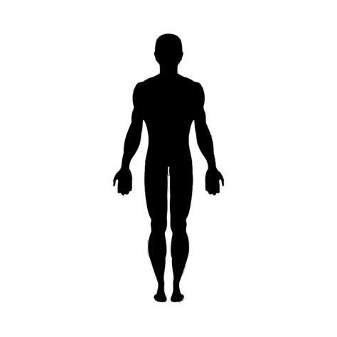 vector graphics clip art human body image silhouette png