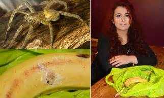 iceland shopper finds bananas she bought are infested with brazilian wandering spiders daily
