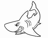 Shark Angry Coloring Colorear Coloringcrew Animals sketch template