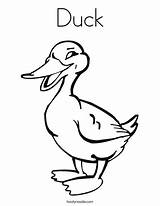 Coloring Duck Quack Worksheet Wood Fly Pages Birds South Says Quacks Color Print Printable Tracing Outline Worksheets Getcolorings Twistynoodle Built sketch template