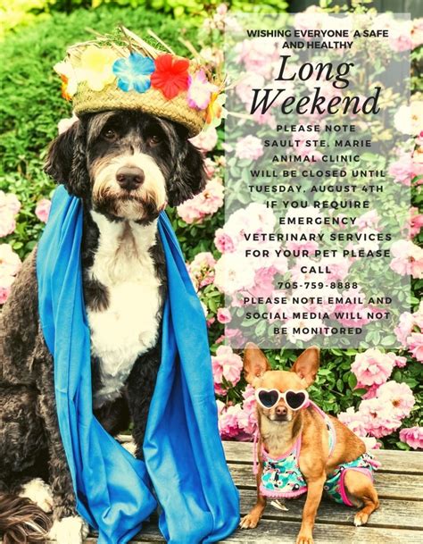 wishing   safe happy  healthy long weekend sault ste marie animal clinic