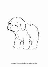 Puppy Colouring Coloring Sheepdog Pages Dog Drawings Dogs 650px 4kb Animals Village Activity Explore sketch template