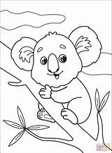 Koala Supercoloring Source Onlinecoloringpages sketch template