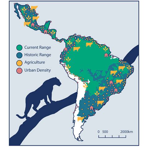 jaguar habitat map