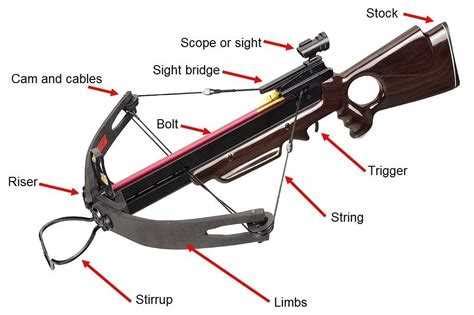 ultimate guide  understanding  barnett crossbow parts diagram