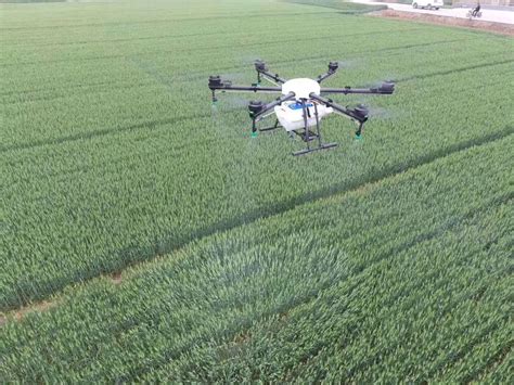 drones  answer  cutting costs  spraying pesticide