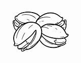 Pistachios Coloring Pages Coloringcrew Food Fruits Choose Board sketch template