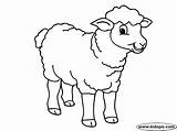 Ovejas Oveja Dibujos Animados Sheep Ovelhas Preescolar Pascoa sketch template