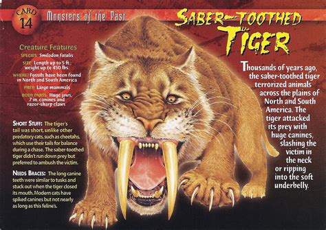 saber toothed tiger weird  wild creatures wiki fandom powered  wikia