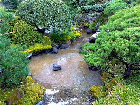 naturetastic blog japanese tea garden  san francisco