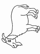 Goat Copii Colorat Fise Goat2 Cabras Hippo2 Colorare Capra Maestrasabry Coloringpagebook Coloringhome Desenat sketch template