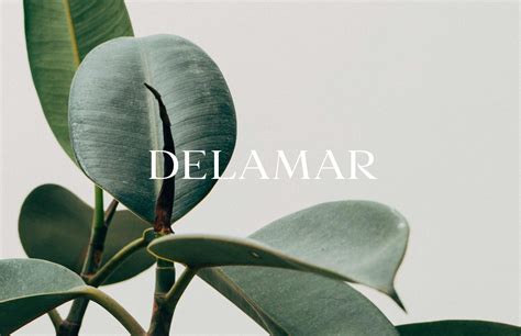 delamar  behance