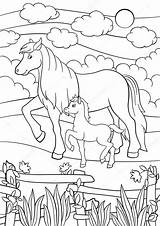 Veulen Paard Kleurplaten Animali Kleurplaat Fohlen Puledro Boerderijdieren Paarden Moeder Op sketch template