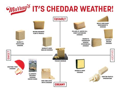 cheddar  ultimate guide  cheddar types murrays cheese blog