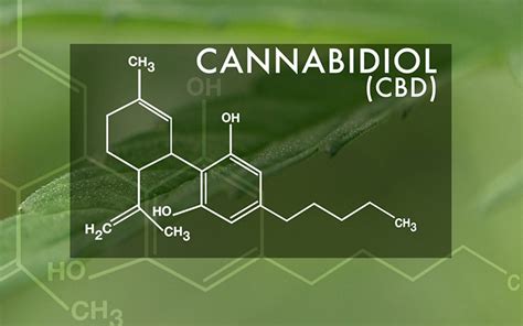 thc cbd cannalife botanicals