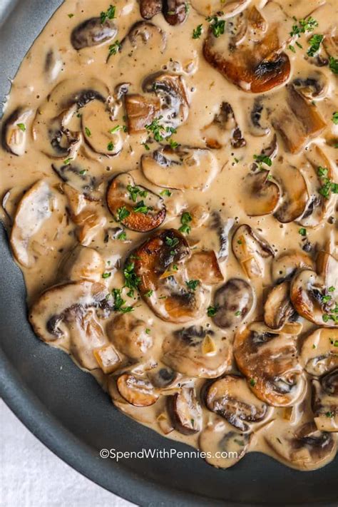 creamy mushroom sauce easy versatile spend  pennies