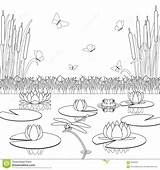 Coloring Swamp Pond Plants Vector Nature Drawings 83kb 1300 sketch template