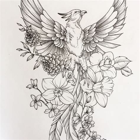 phoenix sketch feathertattooideas feather tattoos pheonix tattoo
