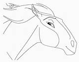 Stallion Cimarron Dreamworks Corcel Indomable Visit Caballos Cumple Getcolorings sketch template