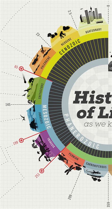 history  life     infographical illustration  mark