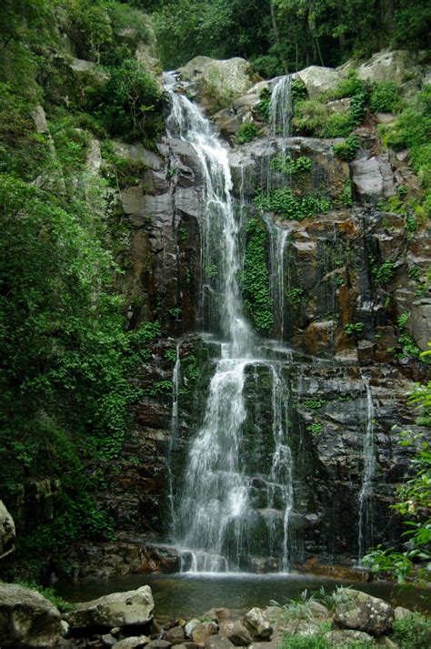 rainforest waterfall  stock photo public domain pictures