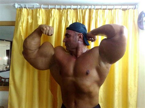 biceps morph  thegalzar  deviantart
