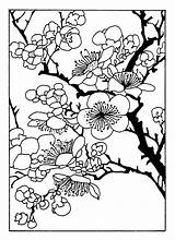 Coloring Blossom Cherry Japanese Pages Tree Designs Printable Flower Coloriage Colouring Patterns Fleur Adult Oriental Print Color Sheets Book Adults sketch template