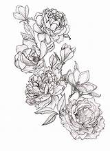 Peony Tattoo Flower Drawing Peonies Tattoos Line Outline Drawings Magnolia Flowers Drawn Draw Tatoo Pencil Samoan Floral Dream Ink Flash sketch template