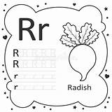 Tracing Radish Kindergarten sketch template