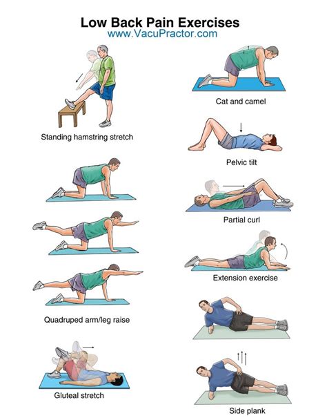 exercises    pain relief