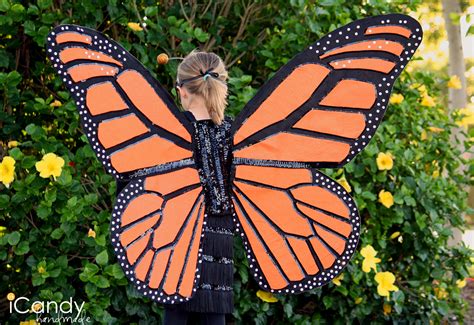 butter       monarch butterfly wings