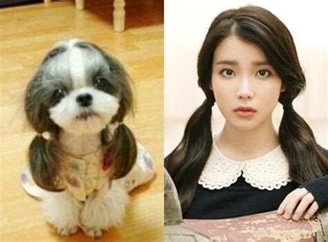 56 Best Images About Kpop Iu 아이유 On Pinterest Stage Name Old Couples And