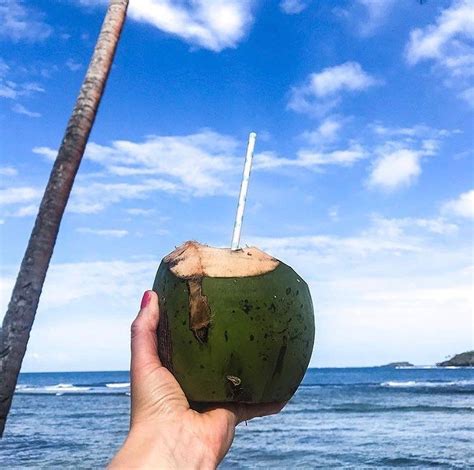 a coconut a day keeps the blues away 🥥🌴☀️ thehappylush